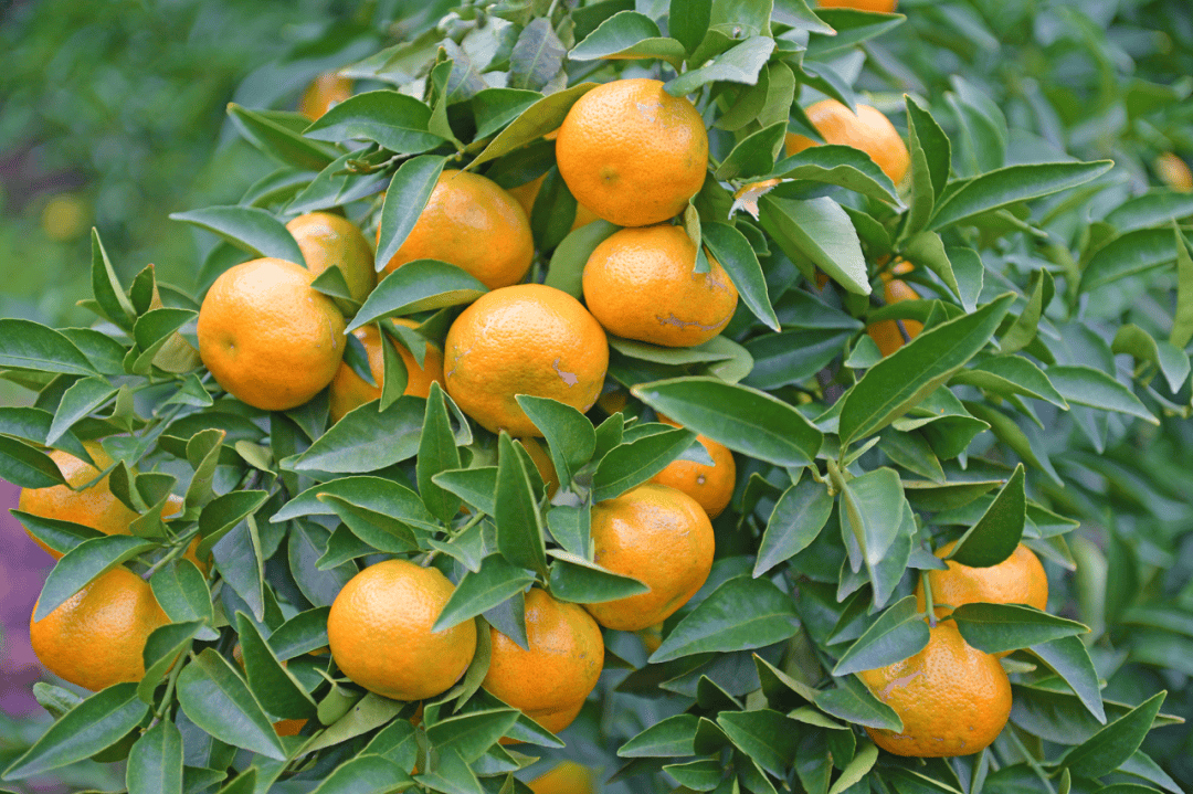 国务院批复，同意设立！