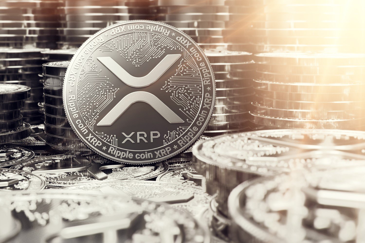 xrp教学(xrp币今日行情)