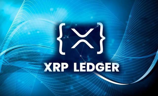 xrp是什么(xrp是什么缩写)