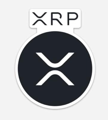 xrp投票(xrpd可以测什么)