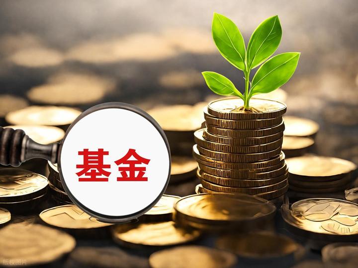 指数基金(指数基金排名前十名) 指数基金(指数基金排名前十名)